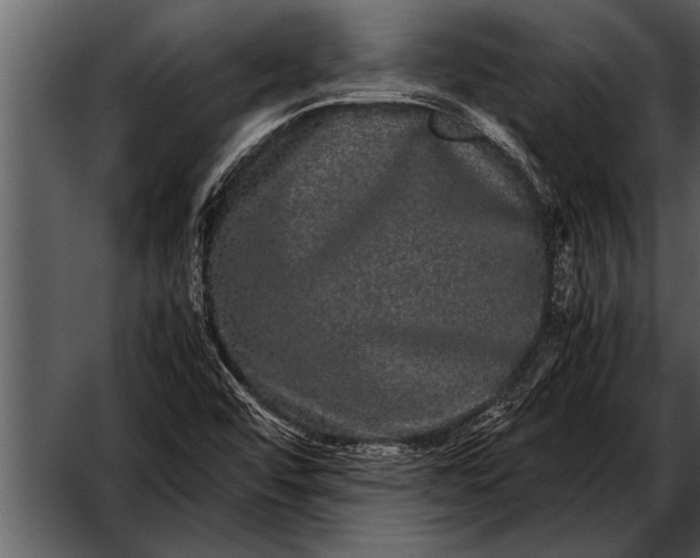 X0000052631456200507160118