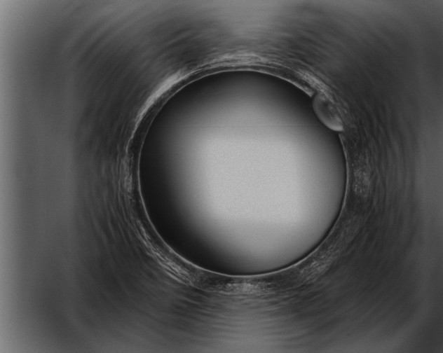 X0000052631458200507160118
