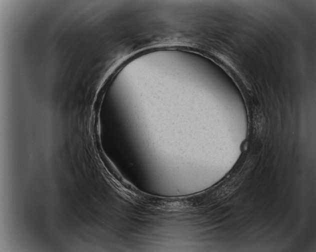 X0000052631460200507160118