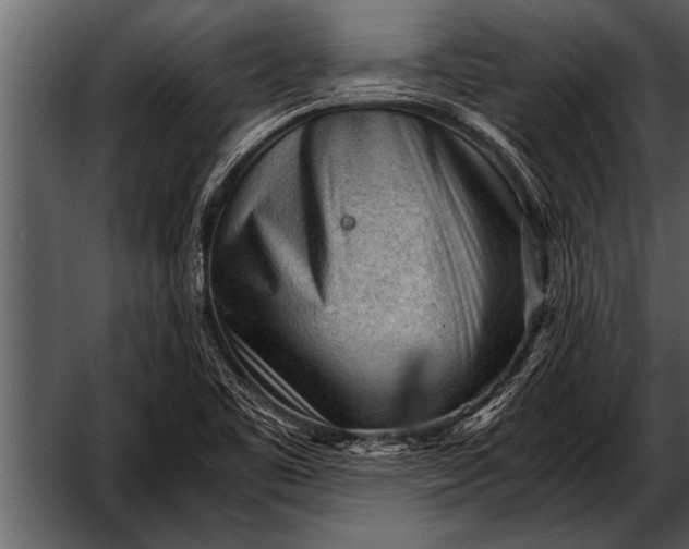 X0000052631461200507160118
