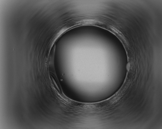 X0000052631473200507160118