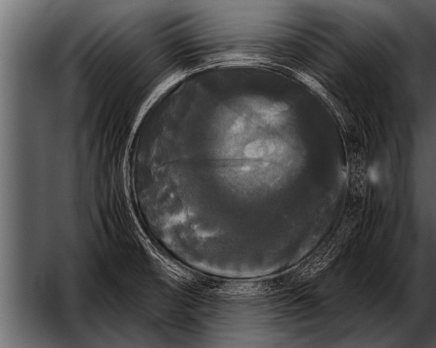 X0000052631474200507160118