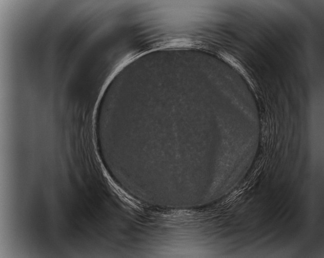 X0000052631475200507160118