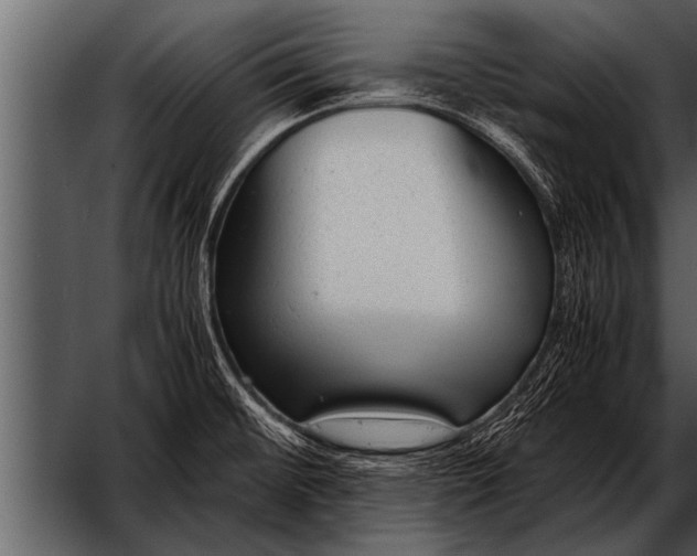 X0000052631476200507160117