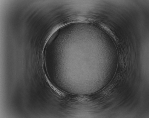 X0000052631479200507160117