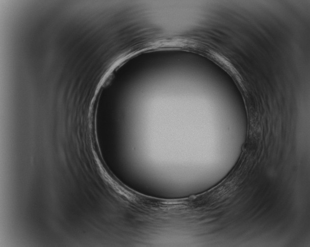 X0000052631483200507160117