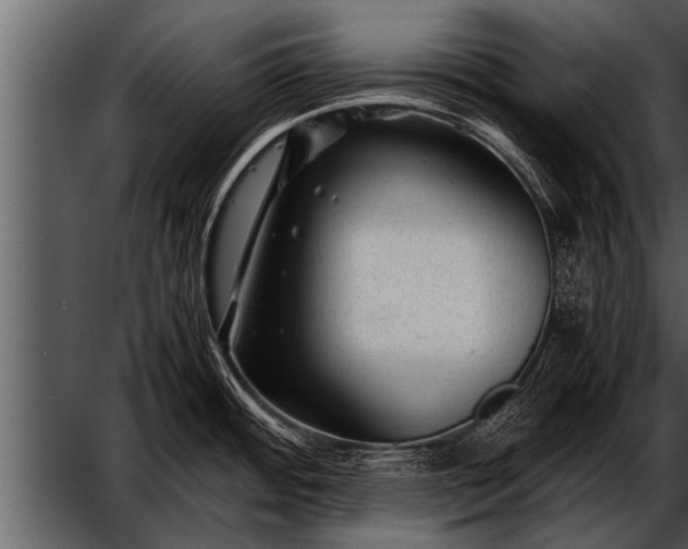 X0000052631484200507160117