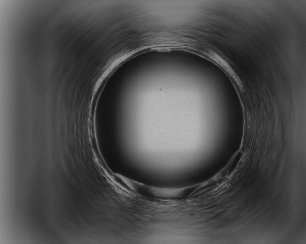 X0000052631485200507160117