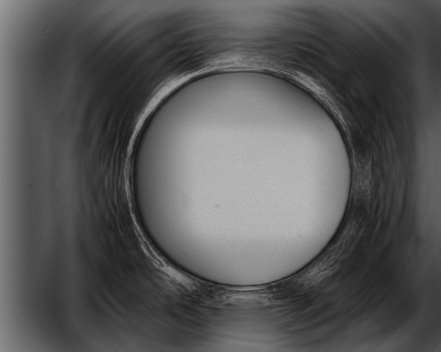 X0000052631486200507160117