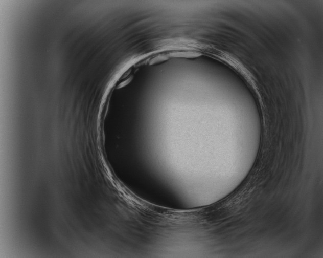 X0000052631488200507160117