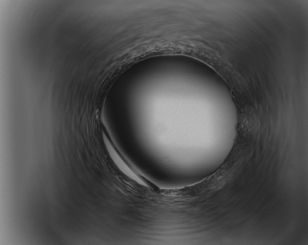 X0000052631490200507160116
