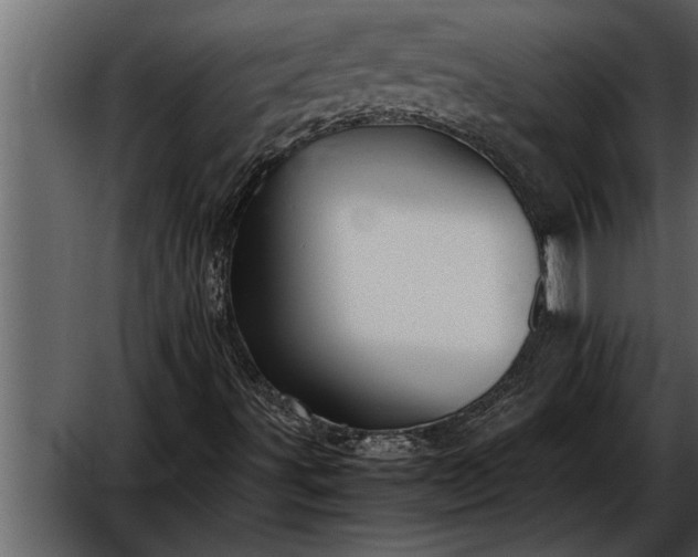 X0000052631491200507160116