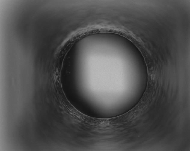 X0000052631495200507160117