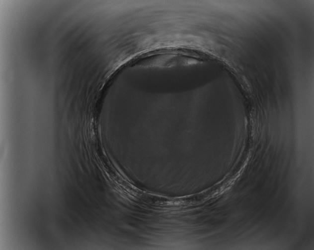 X0000052631497200507160117