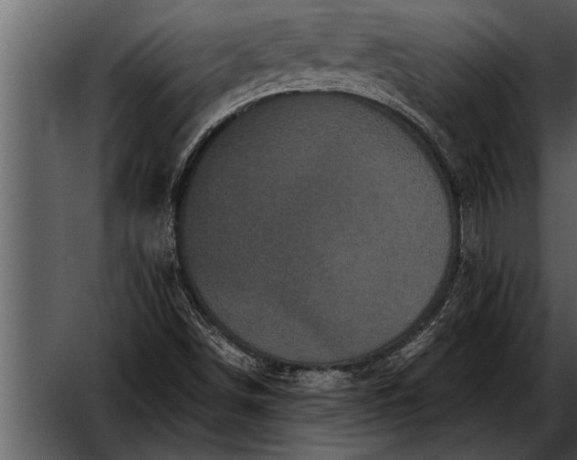X0000052631498200507160117