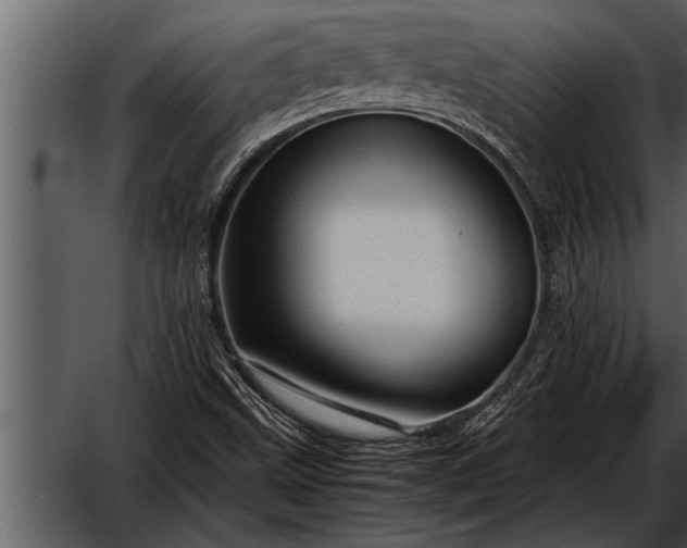 X0000052631499200507160117