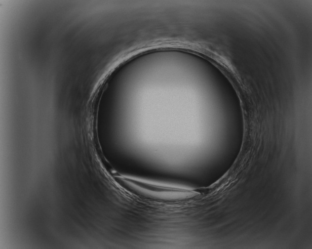 X0000052631504200507160117