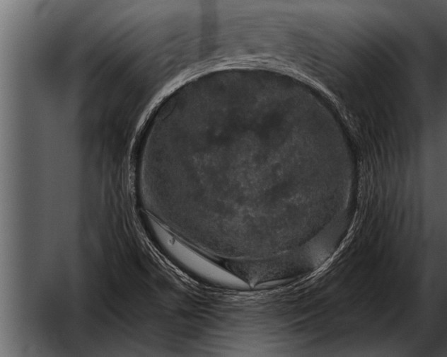 X0000052631506200507160117