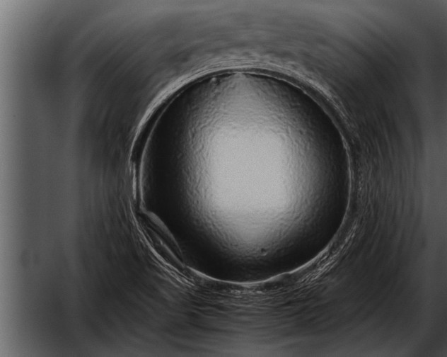 X0000052631509200507160117