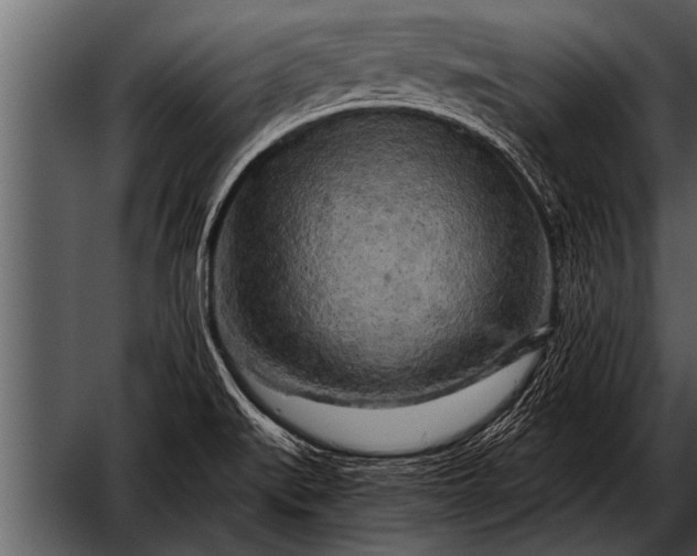 X0000052631519200507160117