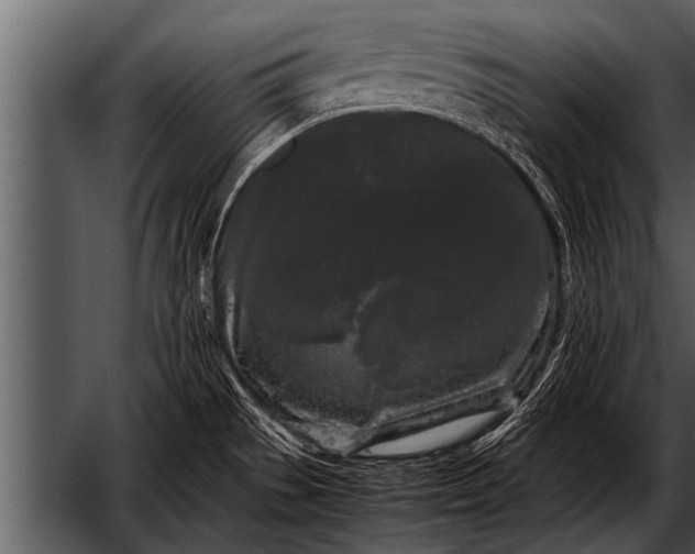 X0000052631529200507160117