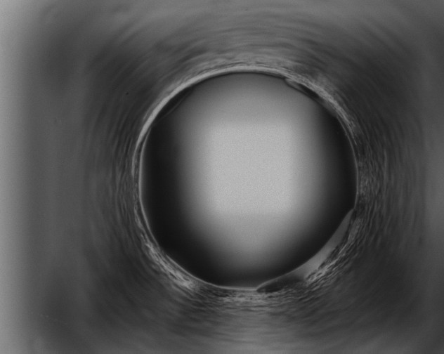 X0000052631532200507160117