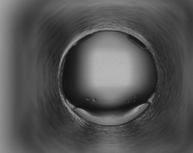 X0000052631536200507160117