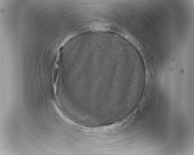 X0000052630009200507221801