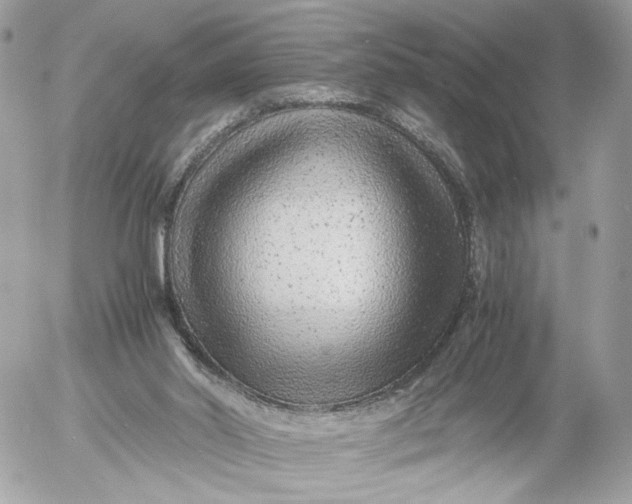 X0000052630014200507221801