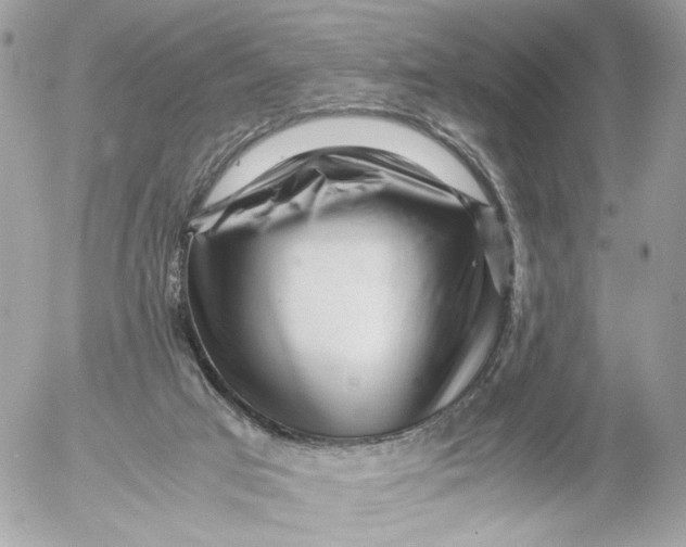 X0000052630017200507221801