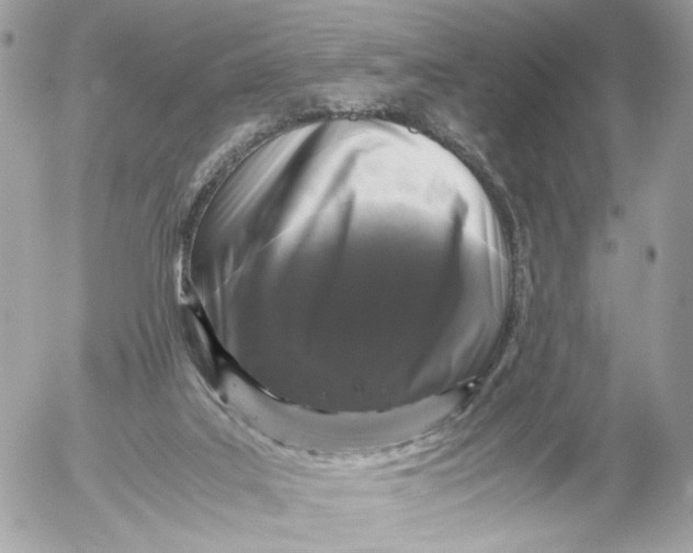 X0000052630019200507221801