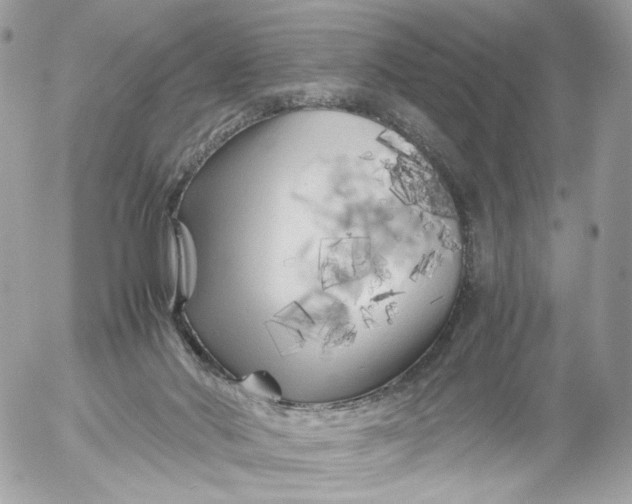 X0000052630022200507221801