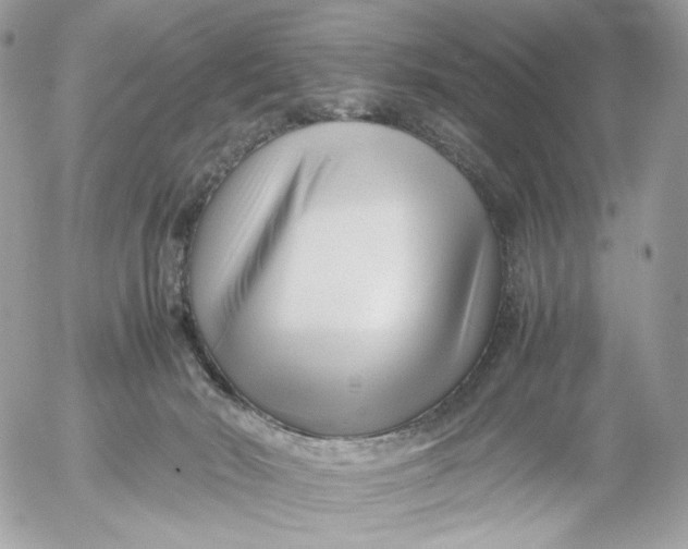 X0000052630030200507221801