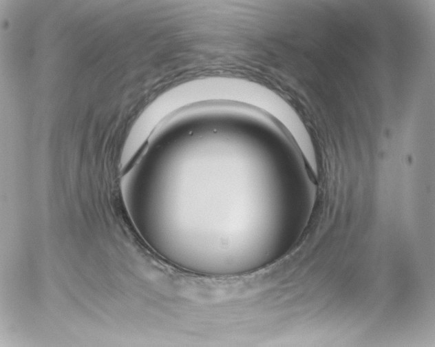 X0000052630033200507221801