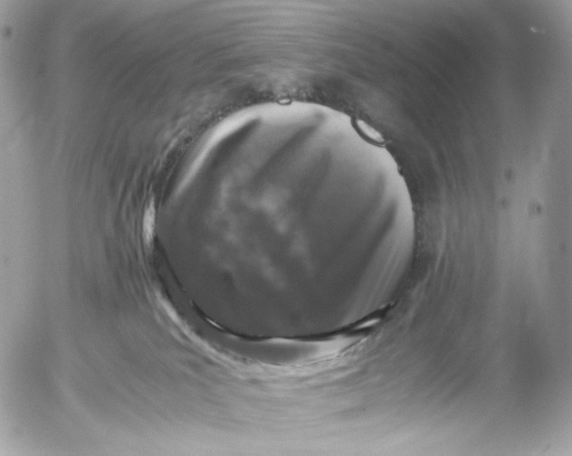 X0000052630039200507221801