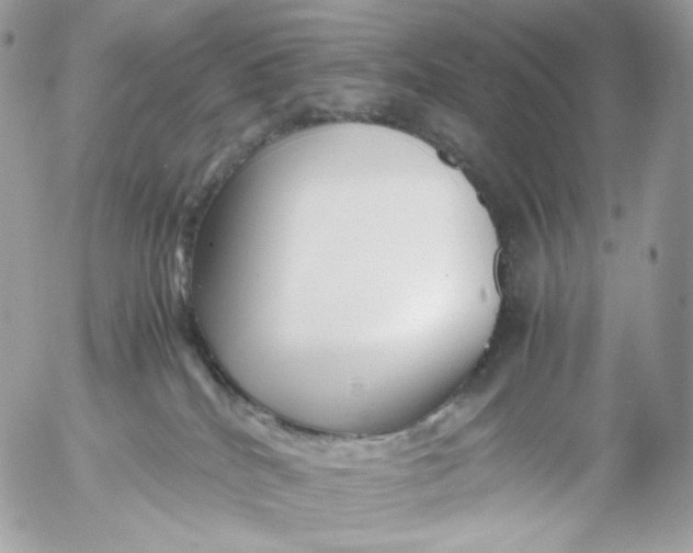 X0000052630040200507221801