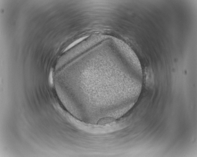 X0000052630042200507221801
