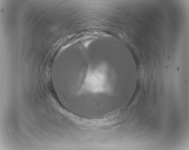 X0000052630043200507221801