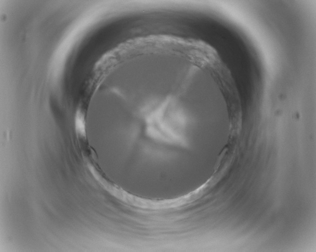 X0000052630047200507221801