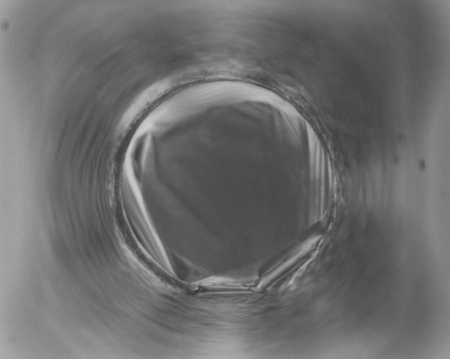 X0000052630054200507221800