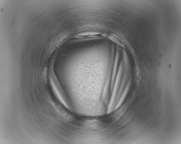 X0000052630066200507221800