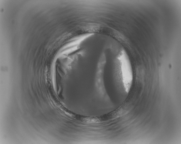 X0000052630073200507221800