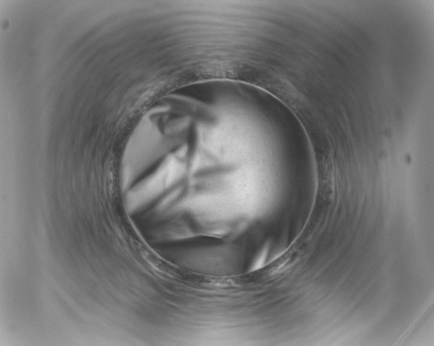 X0000052630080200507221801