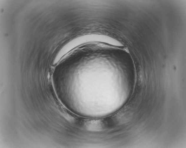 X0000052630081200507221801