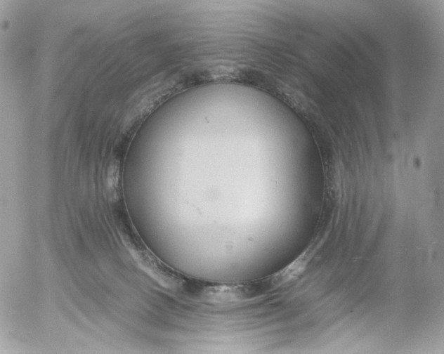 X0000052630082200507221801