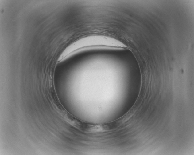 X0000052630083200507221801