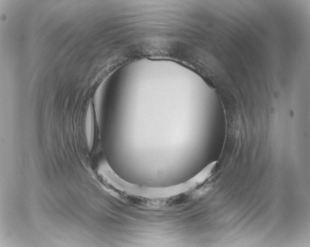 X0000052630084200507221801