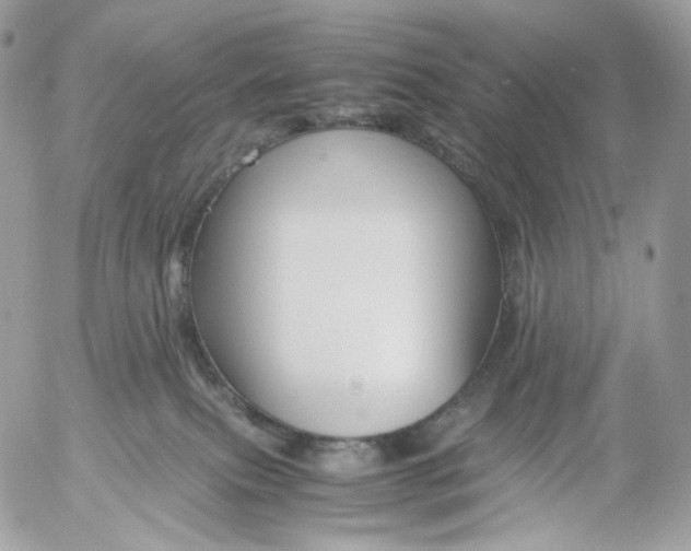 X0000052630087200507221801