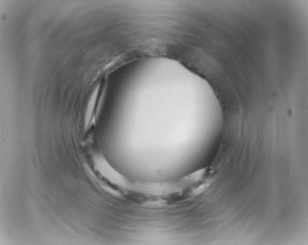 X0000052630088200507221801