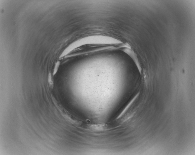 X0000052630089200507221801